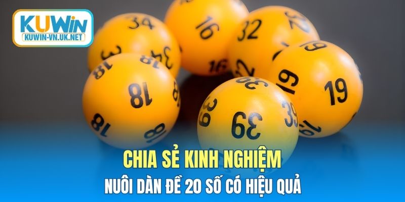 Chia sẻ kinh nghiệm nuôi dàn đề 20 số có hiệu quả
